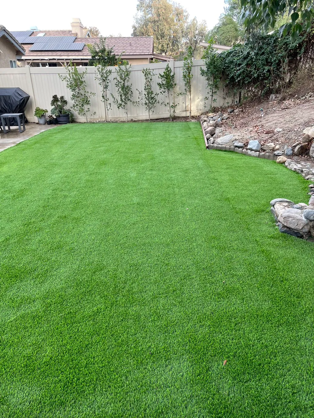 Artificial Turf